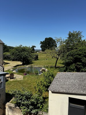 Zona residencial con un estanque, vegetación y un cielo azul despejado.
