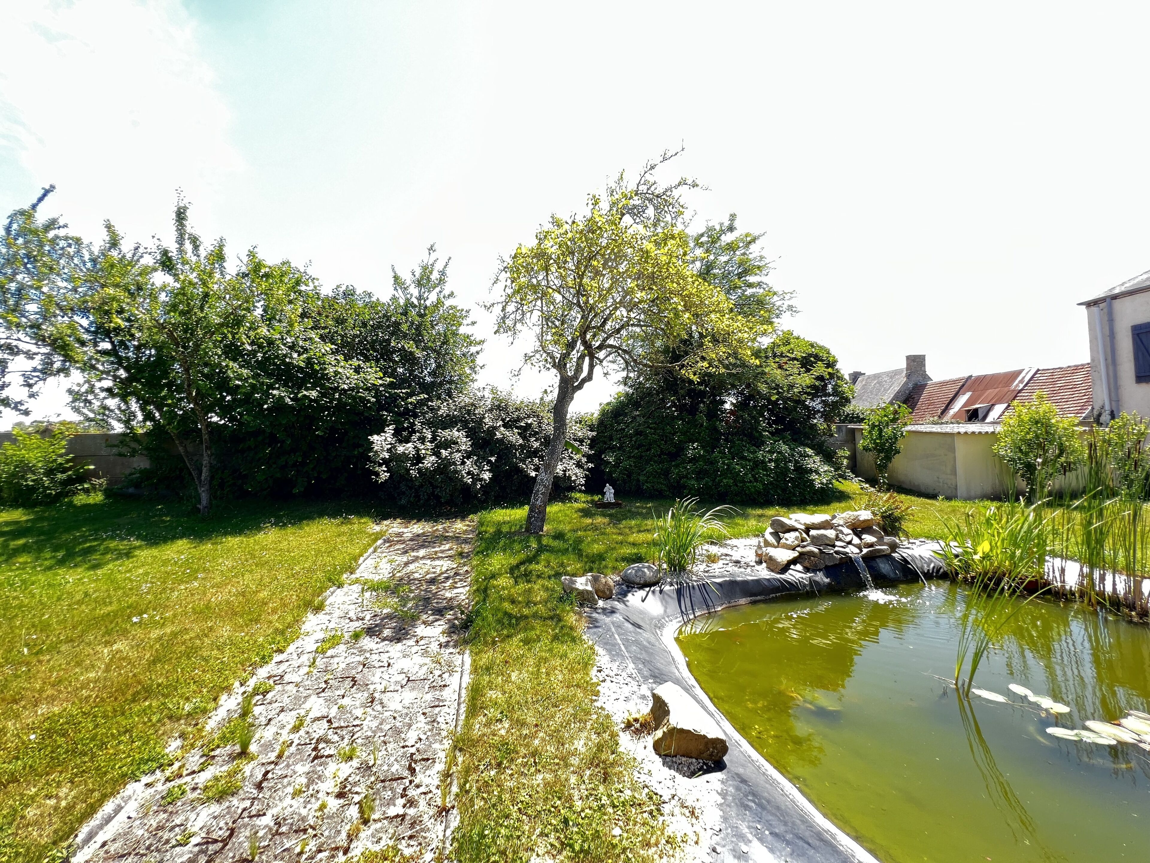 A garden with a pond, a pathway, and a variety of trees and shrubs.