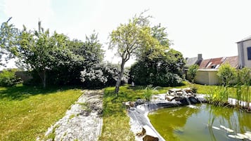 A garden with a pond, a pathway, and a variety of trees and shrubs.