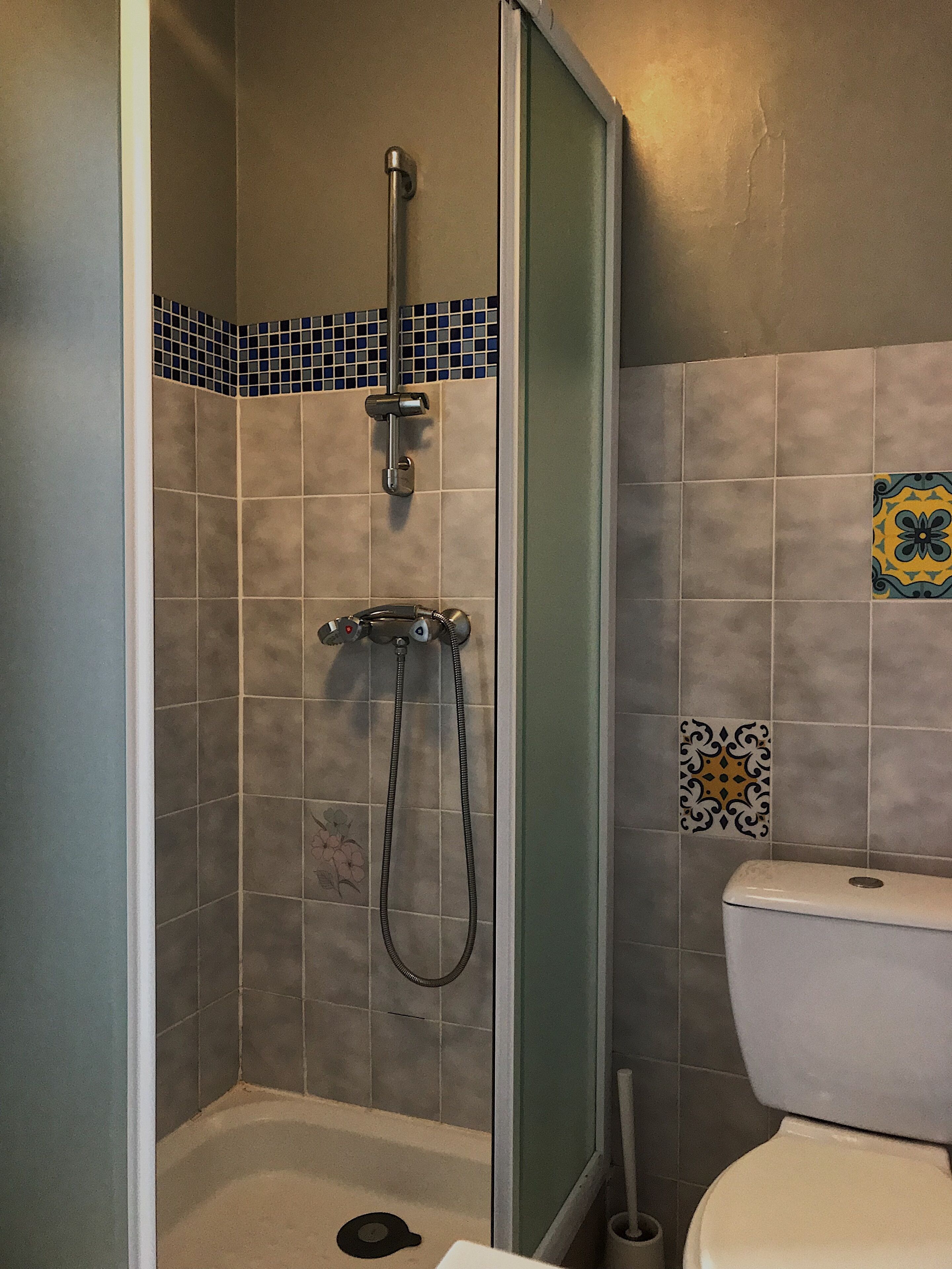 Zona de ducha con puerta de vidrio, cabezal de ducha de mano y un inodoro a la derecha.