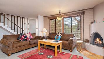 Smart TV, fireplace, DVD player, books