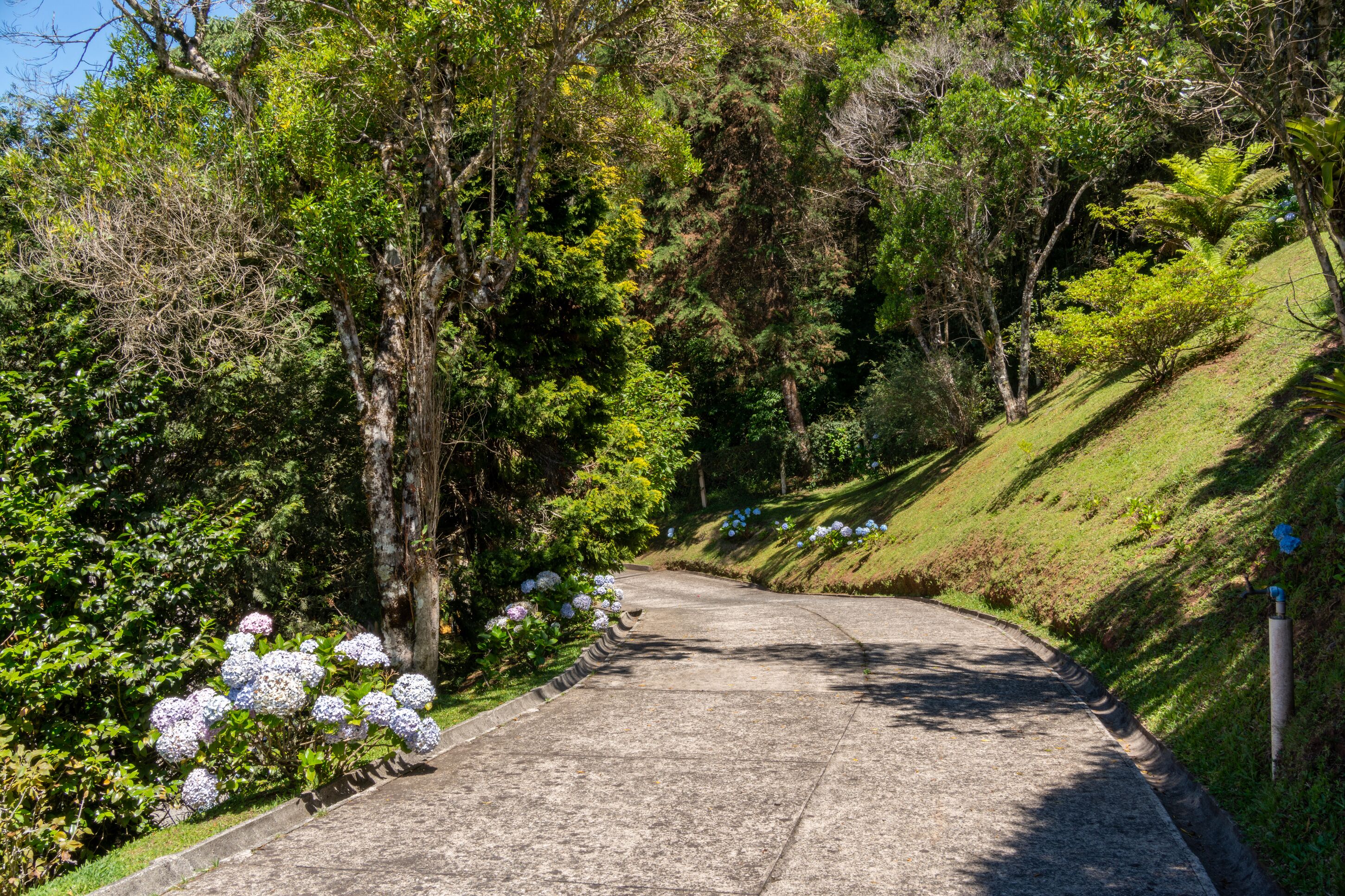 Entrada (vista interna)