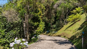 A paved pathway curving through a lush, green landscape with dense trees and flowering plants. - Casa Mantiqueira - Campos do Jordão (Campos do Jordão)