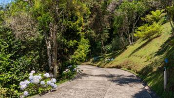 Entrada (vista interna)
