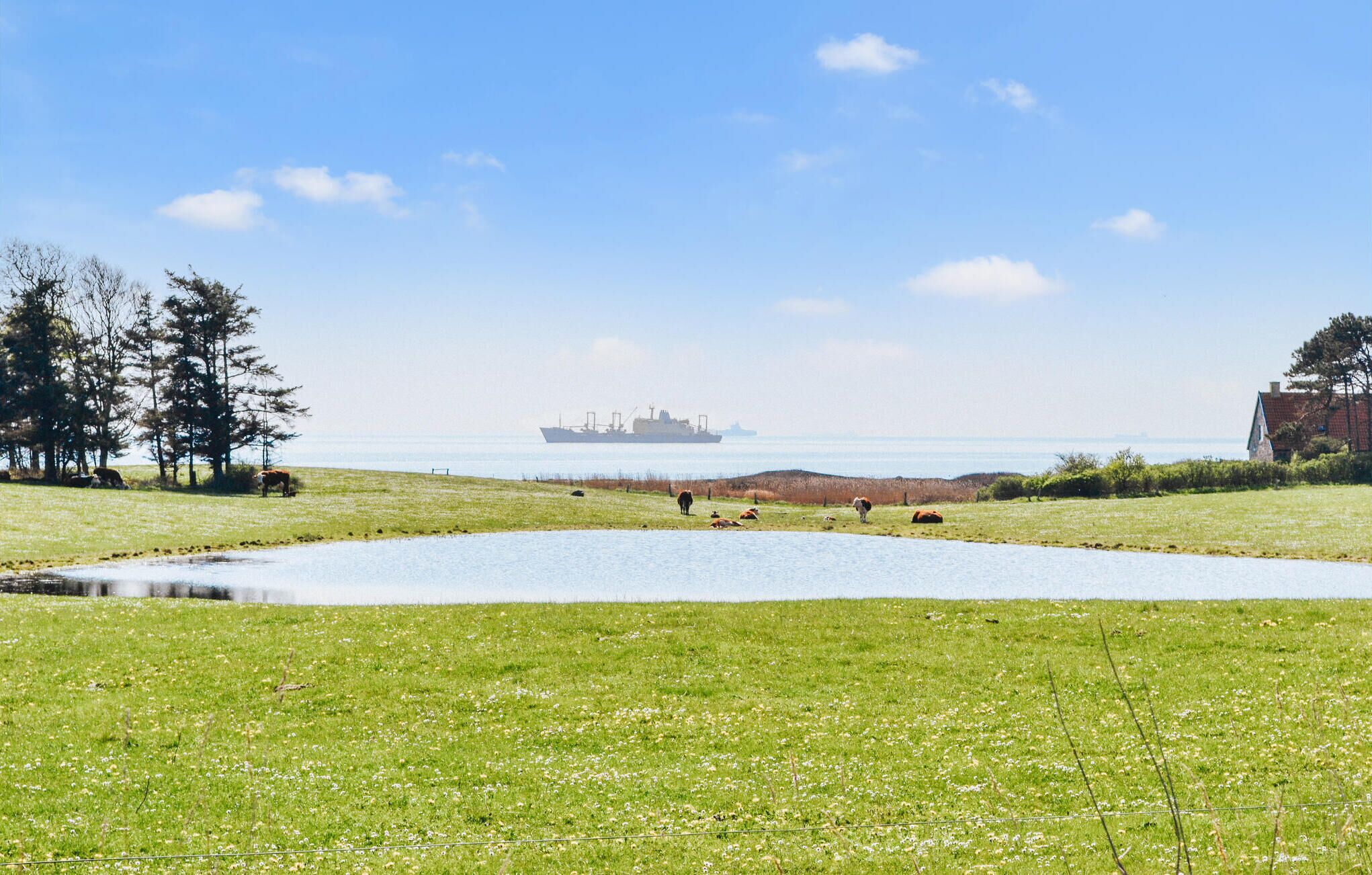 Ein grünes Feld mit einem kleinen Teich, Bäumen und einem entfernten Schiff.
