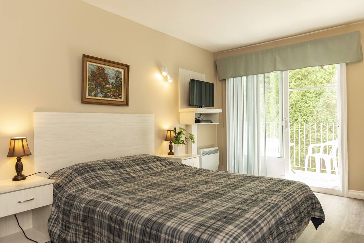 Ein Schlafzimmer mit einem Bett, Nachttischlampen, einem Fernseher, einer Pflanze und einem Fenster mit Blick auf Grünflächen.