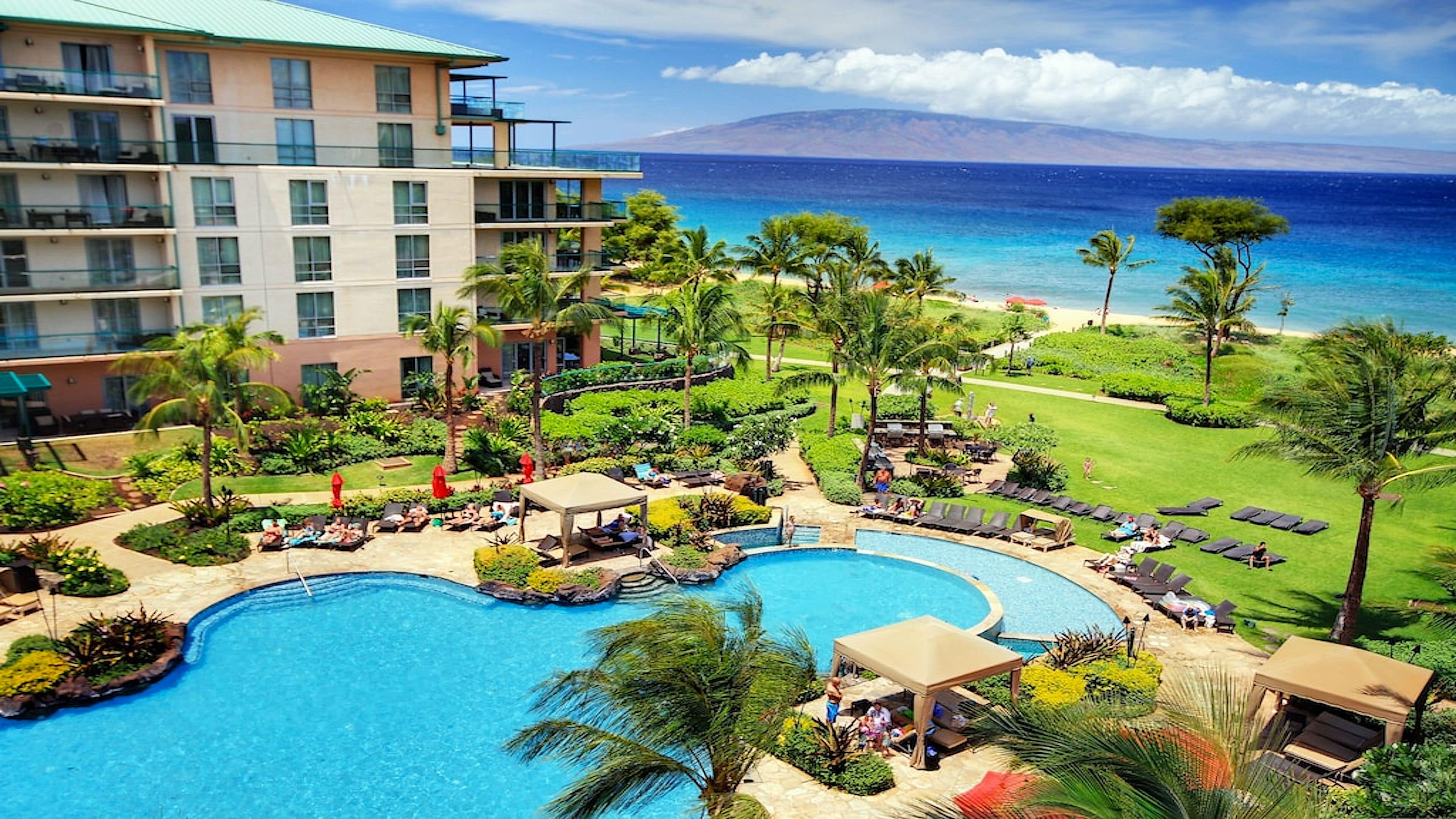Een resort met een groot zwembad, palmbomen en uitzicht op de oceaan.