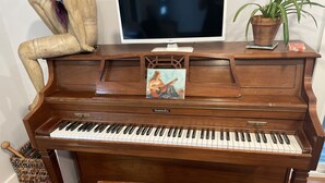 A Baldwin upright piano with a wooden bench in front, a television, and a potted plant on top. - Walk to the crystal clear San Marcos river (San Marcos)