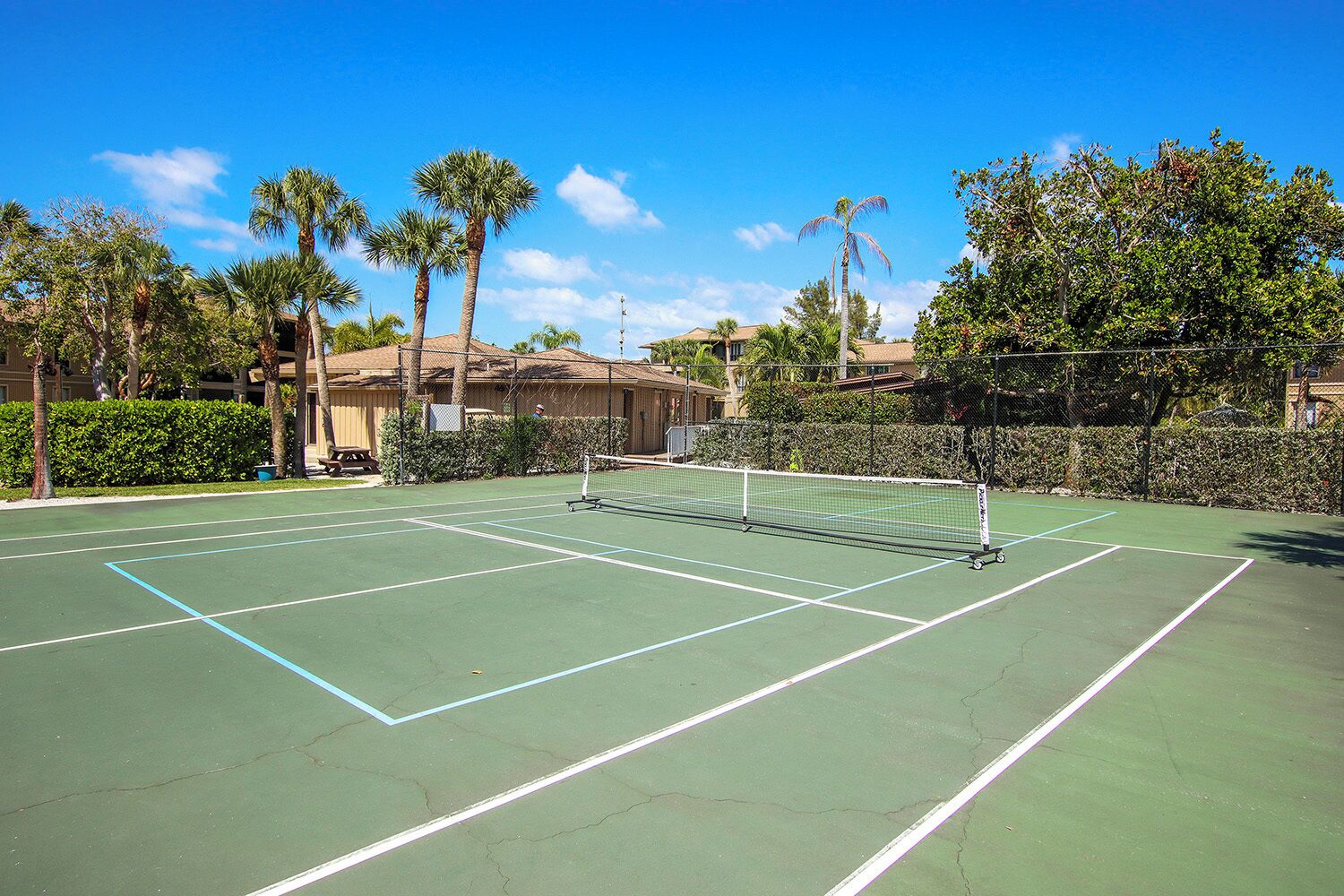 An outdoor tennis court with a net, surrounded by palm trees and a fence.