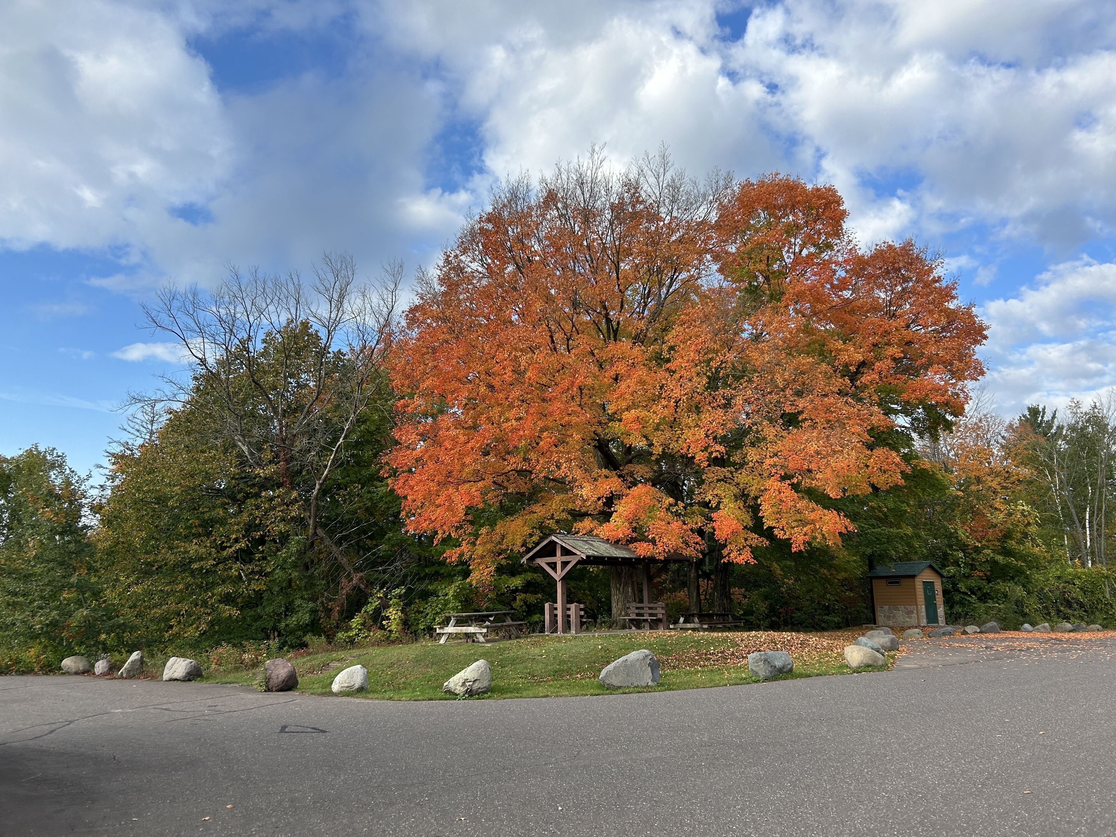 Ein Park mit einem großen Baum, der Herbstlaub zeigt, einem Picknickplatz und einem kleinen Gebäude.