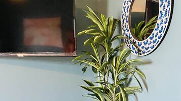 Smart TV, chimenea, videojuegos y libros