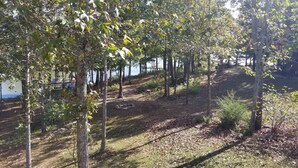 A wooded area with a dirt path leading to a dock by a body of water. - Cozy Bear Paradise  on Weiss Lake  in the foothills of the Appalachian Mountains (Cedar Bluff)