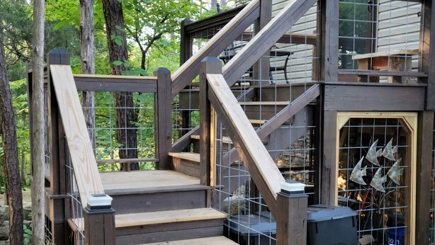 A wooden staircase leading to a deck with a metal railing, surrounded by trees. - Cozy Bear Paradise  on Weiss Lake  in the foothills of the Appalachian Mountains (Cedar Bluff)