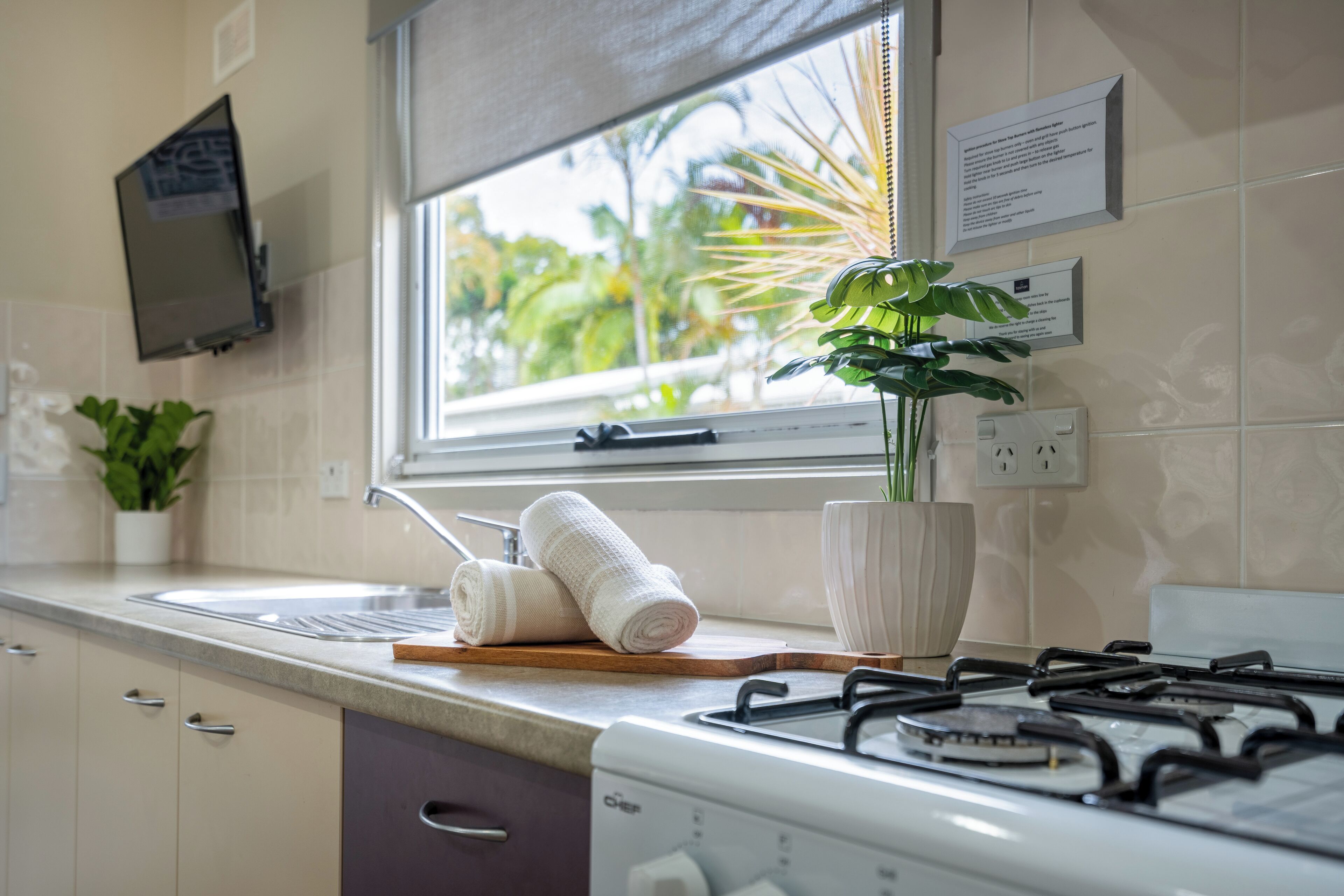 A kitchen with a gas stove, a window with a view of palm trees, a potted plant, and a towel on the counter.