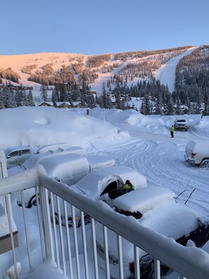 Property grounds - Schweitzer Mountain View Condo (Sandpoint)