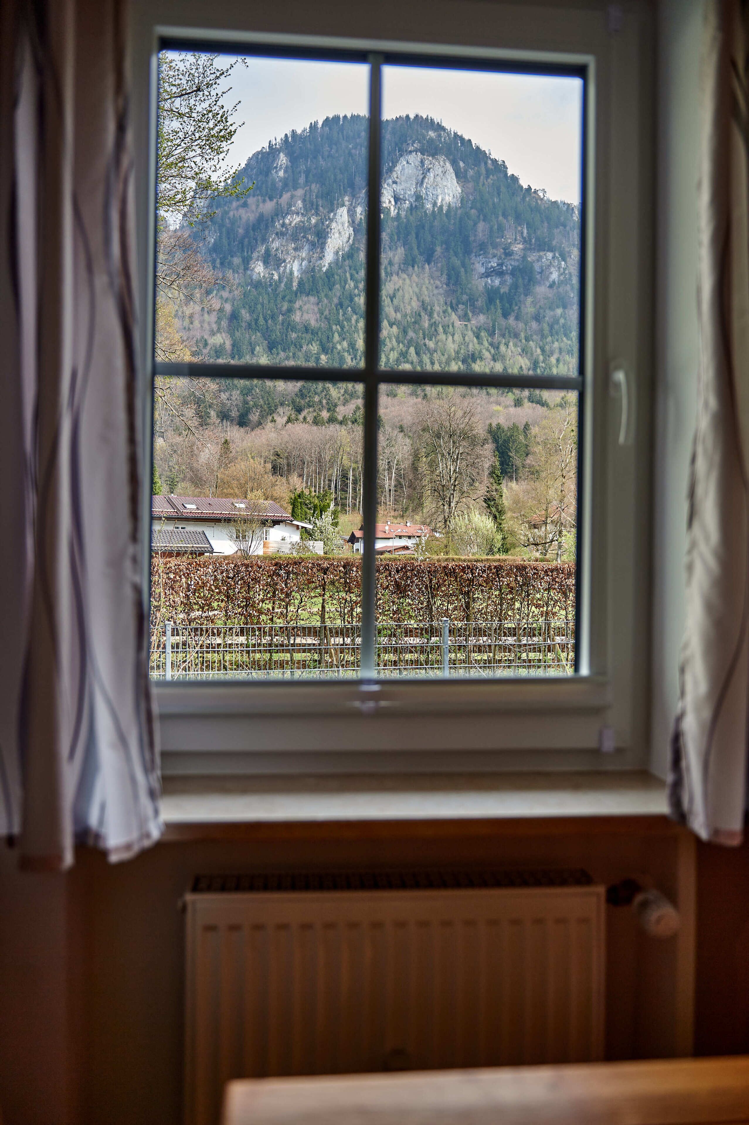 Ventana con vista a un paisaje montañoso, un radiador debajo y cortinas entreabiertas.