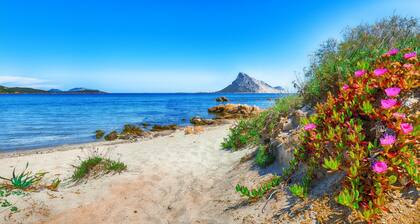 Il Borgo 2/15 700m From The Beach