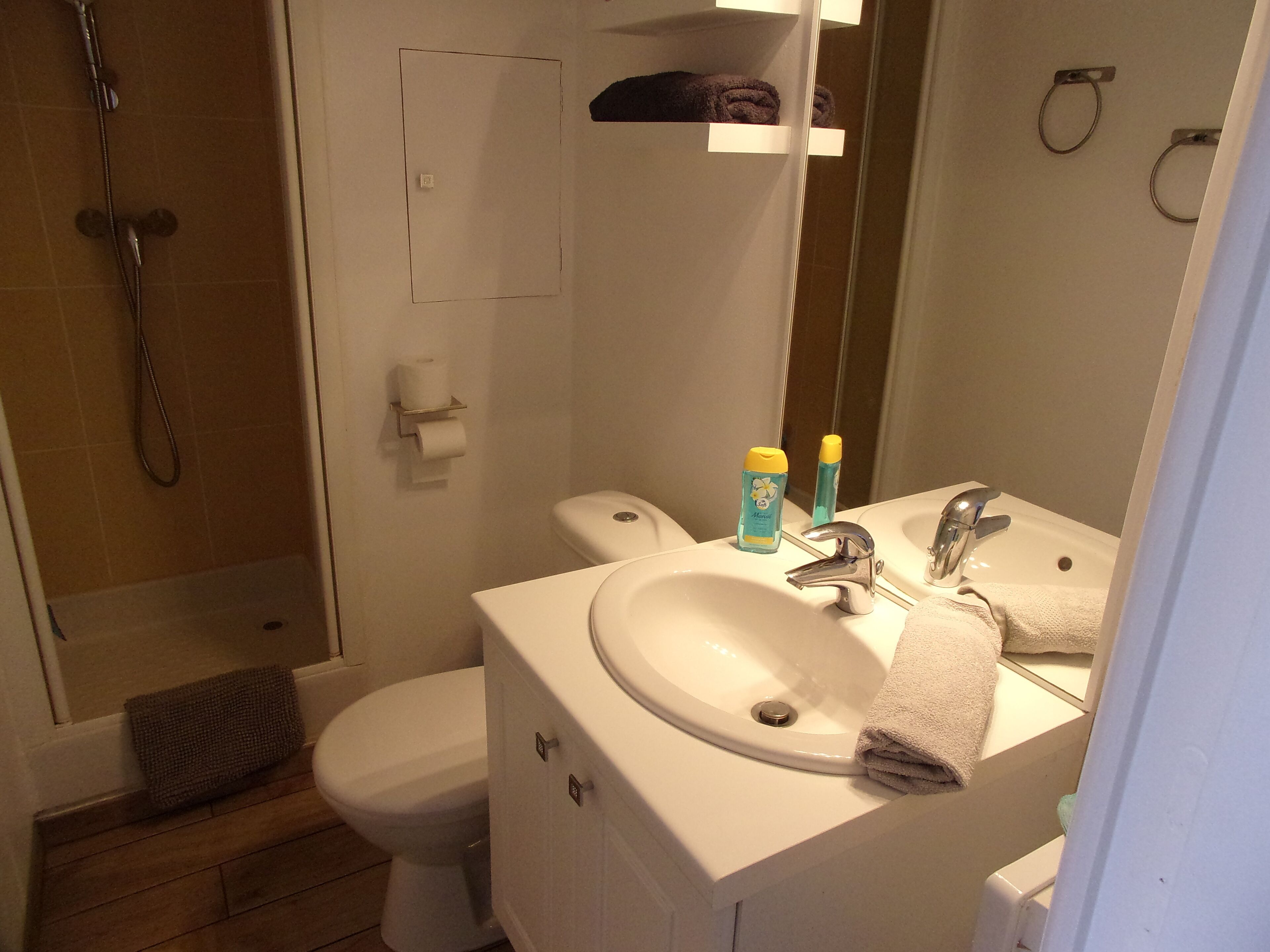 Shower, towels, soap, toilet paper