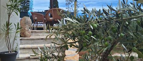 Villa (Holiday House With Swimming Pool) | Exterior