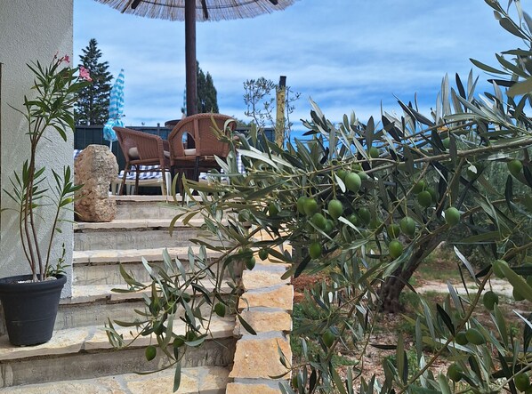 Villa (Holiday House With Swimming Pool) | Exterior - Villa Dore (Supetar)