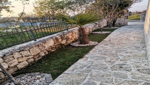 Un chemin de pierre bordé d’une clôture métallique, un palmier et un mur de pierre.