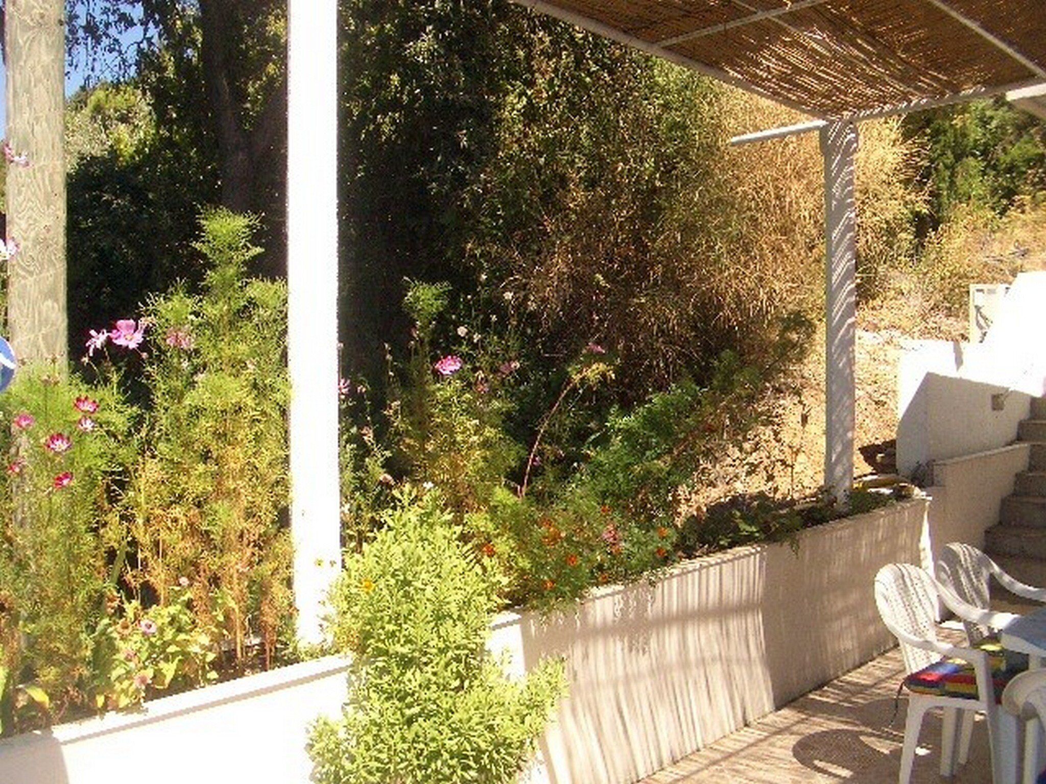 公寓 (One Bedroom Apartment with Terrace an) | 花園