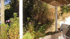 Ein überdachter Außenbereich mit weißen Stühlen, einem Betonboden und einem Garten mit verschiedenen Pflanzen und Blumen.