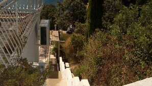 Eine Treppe führt hinab zu einem Gewässer, umgeben von Grünpflanzen und weißen Wänden.