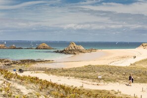 بالقرب من الشاطئ، كراسي للتشمس