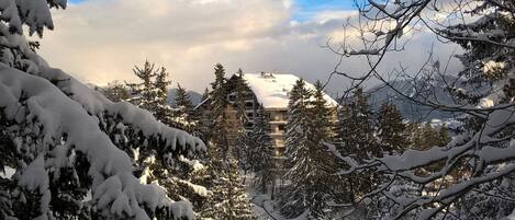 Un hotel con techo nevado y varios pisos, rodeado de árboles cubiertos de nieve.