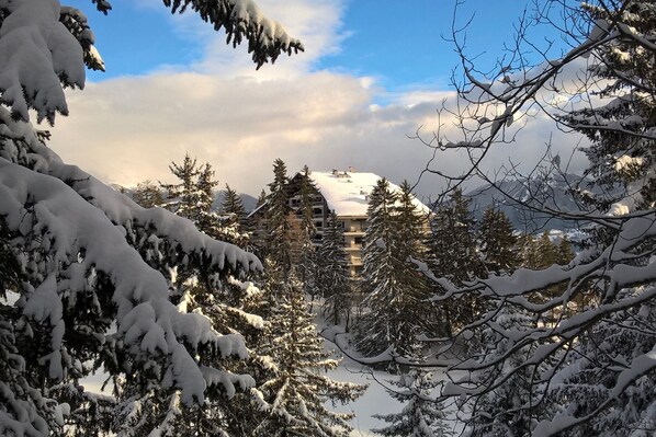 Un hotel con techo nevado y varios pisos, rodeado de árboles cubiertos de nieve.