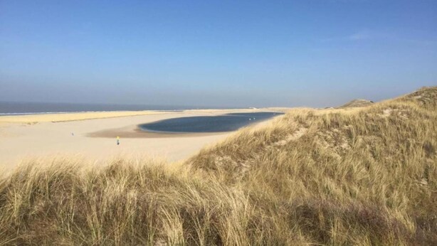 A beach with sand dunes and a clear sky.