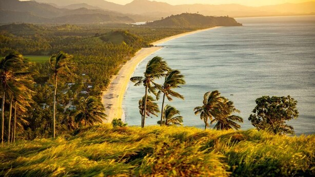 Un paysage côtier avec une plage, des palmiers et des montagnes à l’horizon.