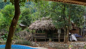 A rustic pool area with a thatched roof structure, surrounded by stone walls and lush greenery.