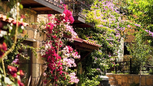 A stone building with a balcony, surrounded by lush greenery and flowering plants. - Arıklı Han Kazdağları (Ayvacik)