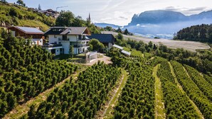 A hillside property with solar panels, a church, and terraced vineyards.