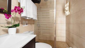 Shower, hair dryer, towels