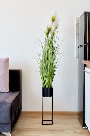 Appartement Design | Coin séjour | Télévision à écran plat