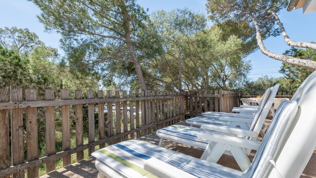 A wooden fence, outdoor lounge chairs, and trees.