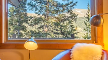 Televisión, chimenea y libros