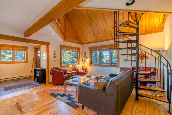 TV, fireplace, books