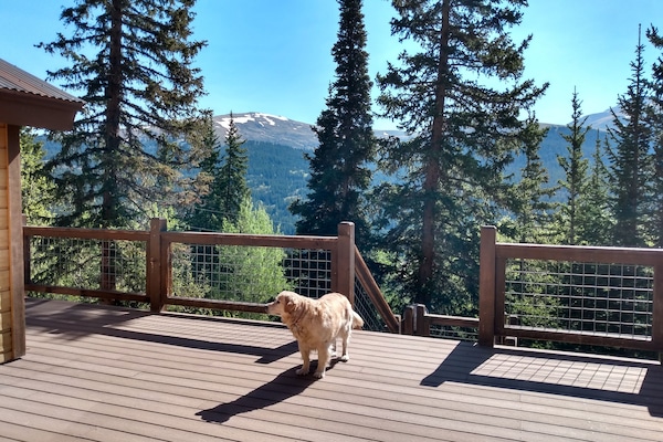 Furry family is welcome at the Alpine Haus property