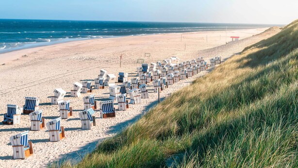 A beach with rows of numbered beach chairs and umbrellas, a sandy shore, and the ocean in the background. - Vacation apartment between the North Sea and the Baltic Sea - Fitness room (Ostenfeld)