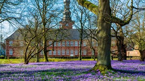 A large building with a prominent tower, surrounded by trees and a field of purple flowers. - Vacation apartment between the North Sea and the Baltic Sea - Fitness room (Ostenfeld)