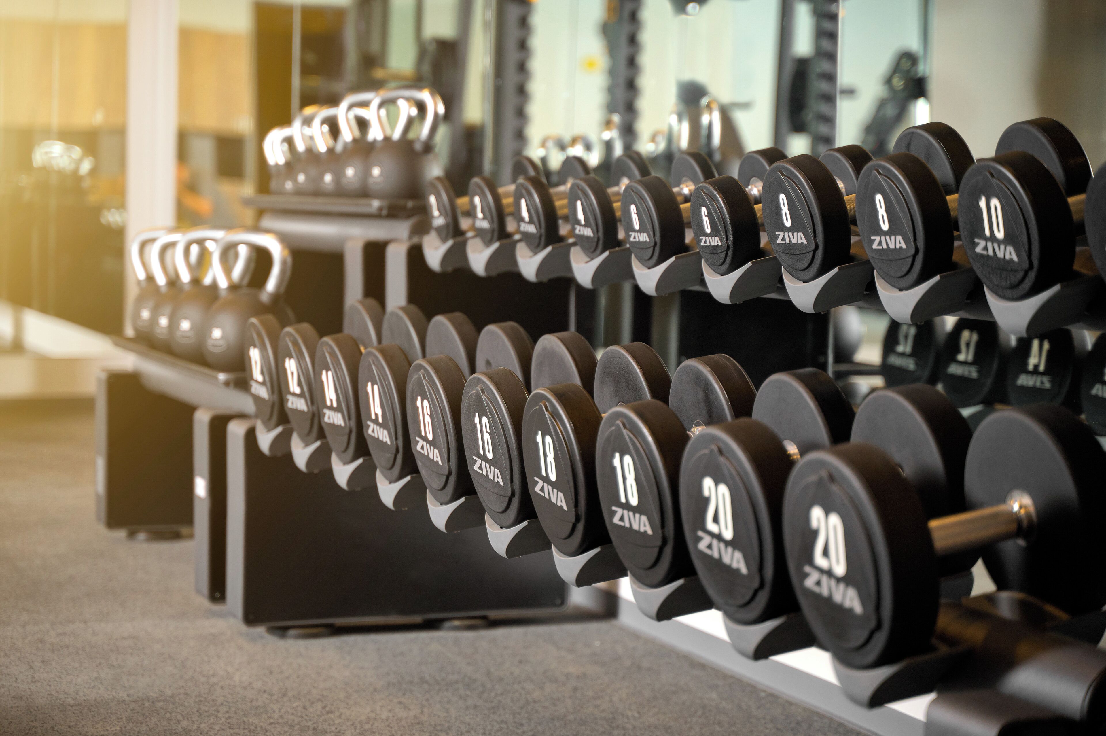 A rack of Ziva brand dumbbells in a gym.