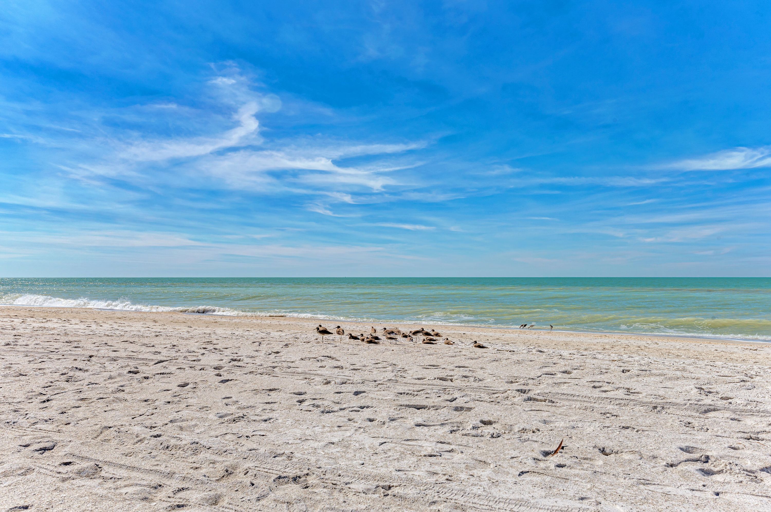 A beach with footprints leading to the water, a clear sky, and a calm sea.