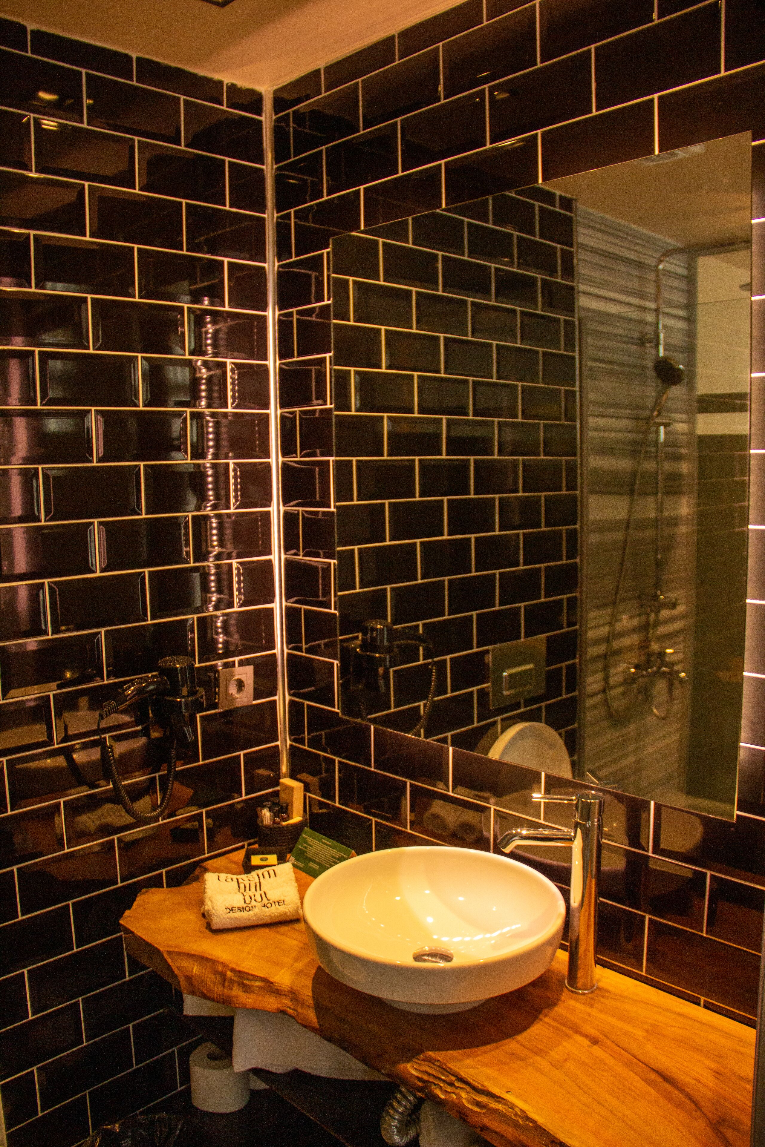 deluxe double room | bathroom | shower, hydromassage showerhead, free toiletries, hair dryer