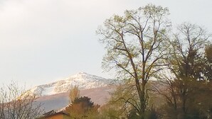 A house with a red roof, surrounded by trees and a snow-capped mountain in the background. - Lovely apartment for rent in a quiet Sofia suburb. (Sofia)