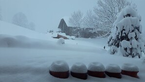 A snowy landscape with a house, trees, and snow-covered planters. - Room with extra-large double-bed, cable TV, private bathroom, organic breakfast, (Lauenen)