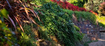 Storybook Cottage-surrounded by expansive gardens